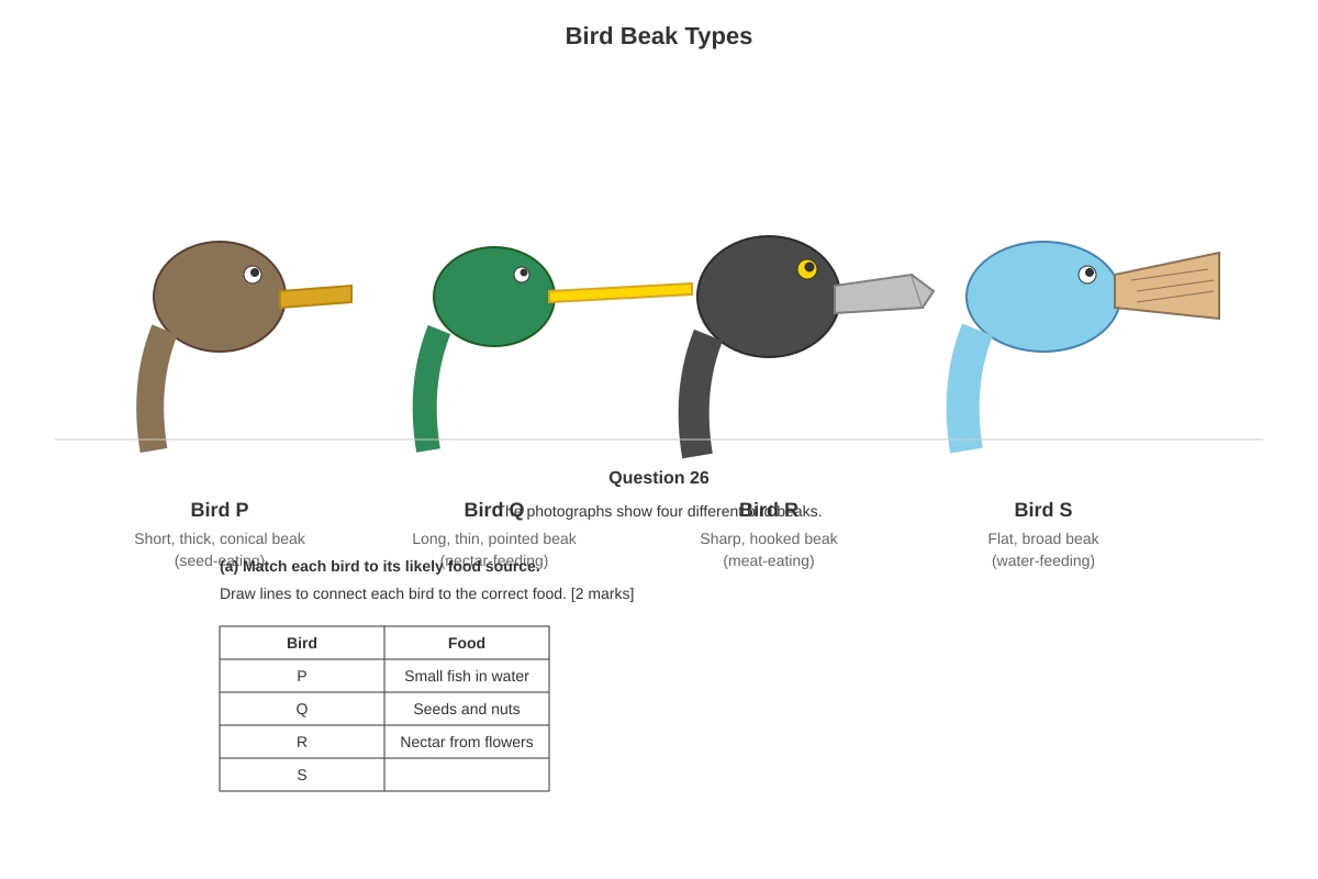 Diagram for Q26 (P6 Science)