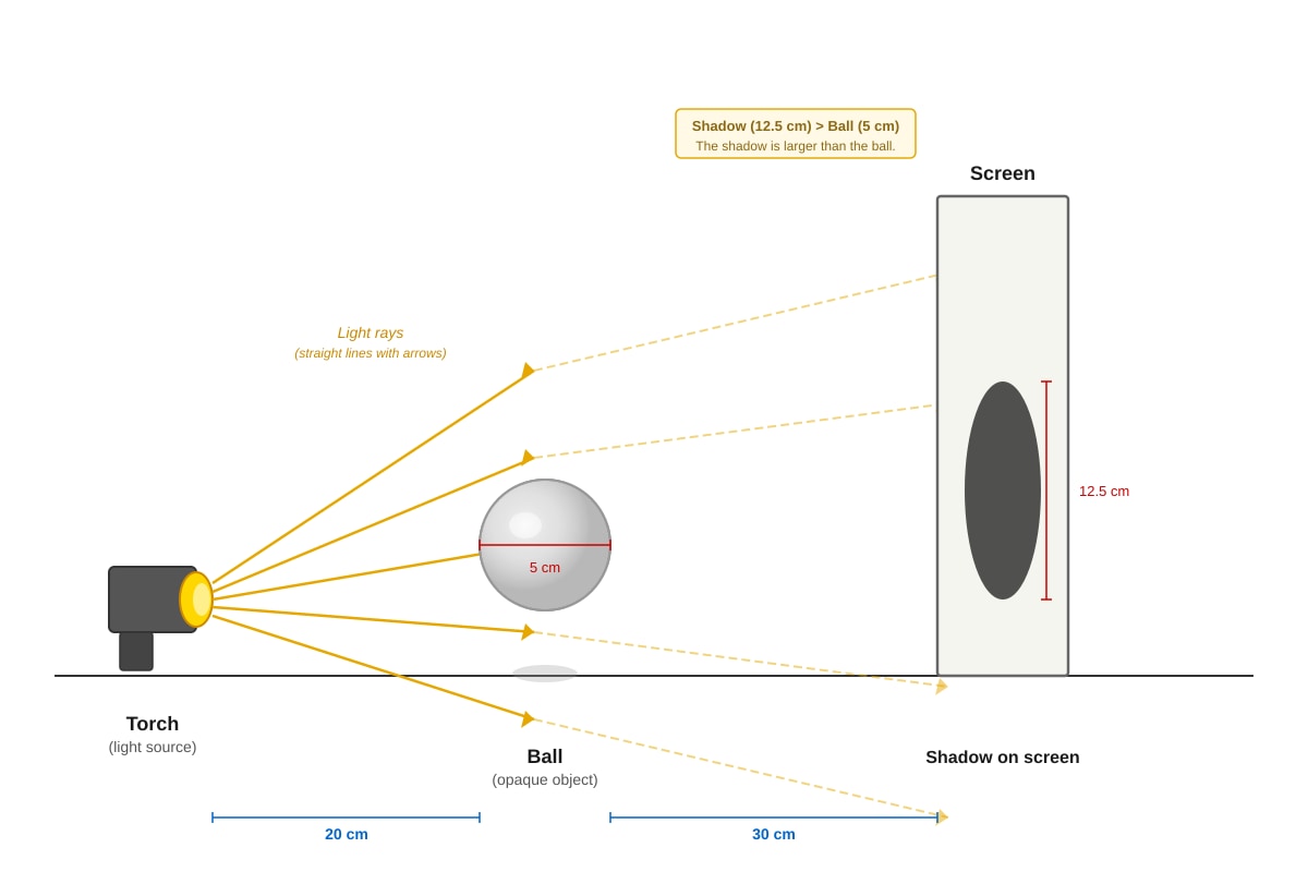 Diagram for Q5 (P4 Science)