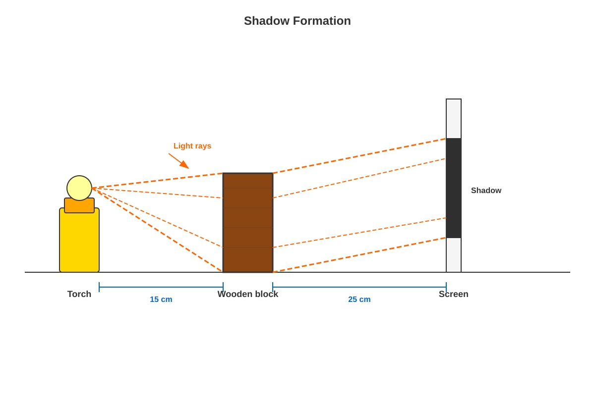Diagram for Q37 (P4 Science)
