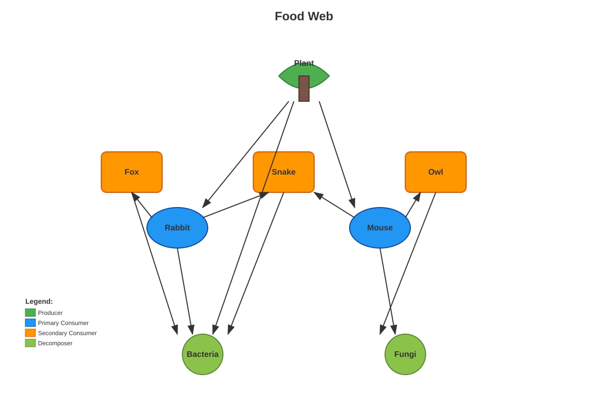 Diagram for Q5 (P5 Science)