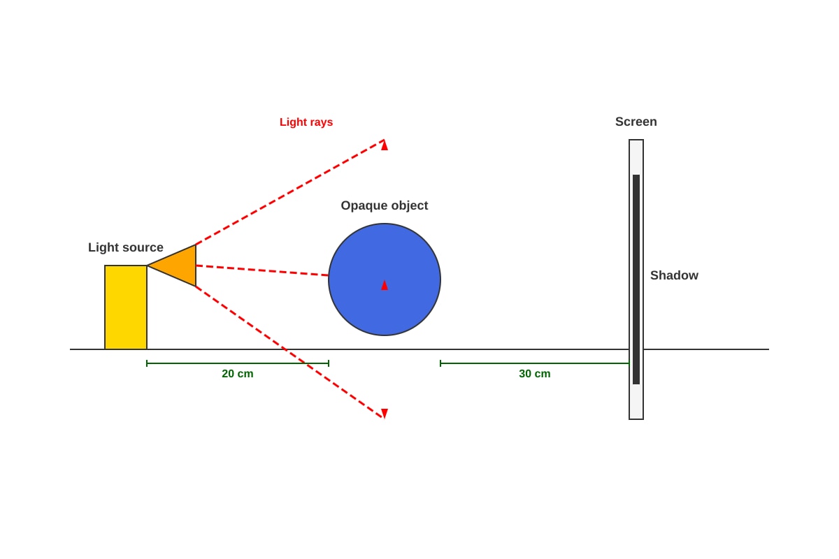 Diagram for Q25 (P4 Science)