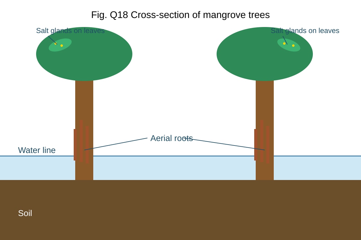 Figure for Q18 (SEC1 Geography)