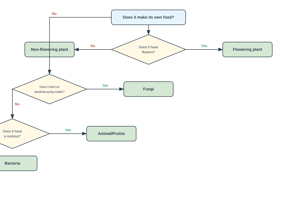 Diagram for Q8 (P6 Science)