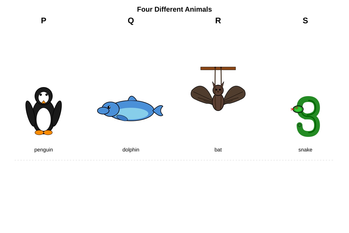 Diagram for Q13 (P3 Science)