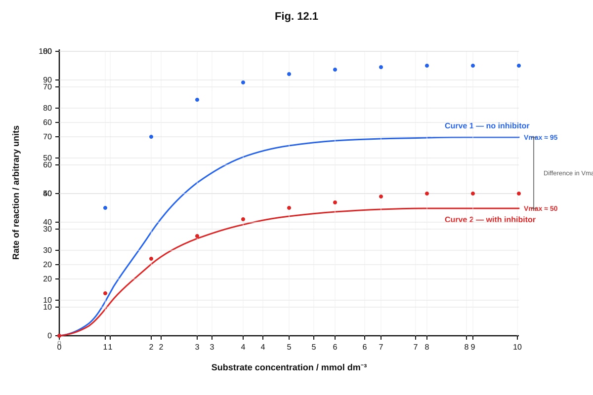 Graph for Q12 (ALEVEL Biology H2)