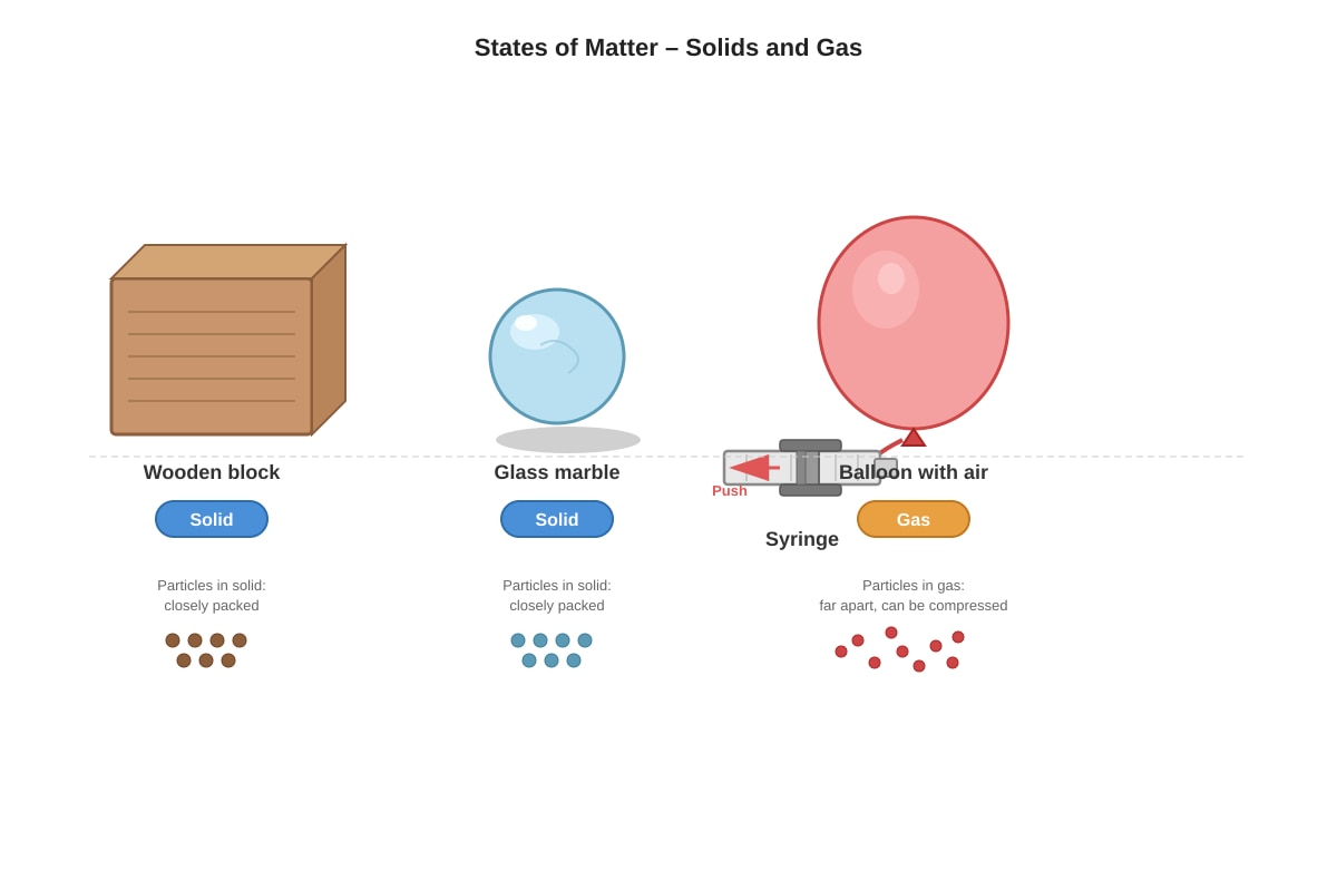 Diagram for Q18 (P4 Science)