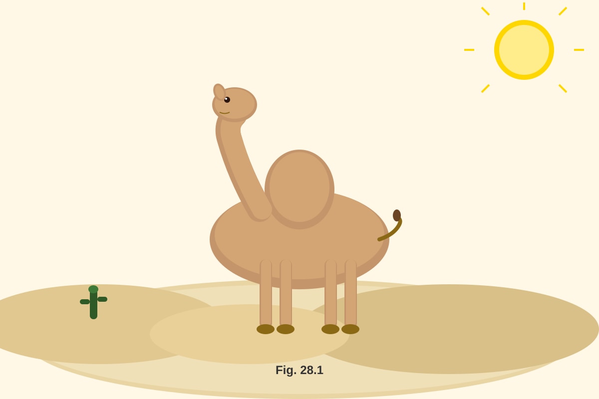 Image for placeholder 6 (P6 Science)
