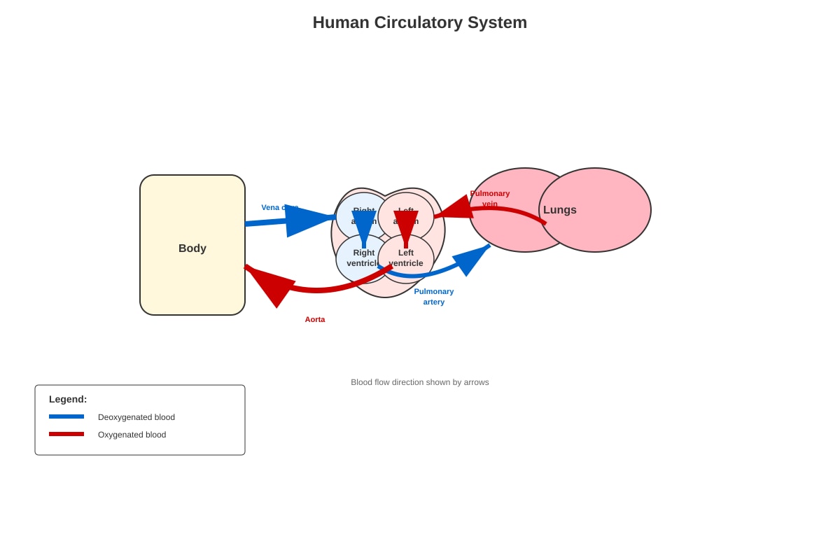 Diagram for Q30 (P5 Science)