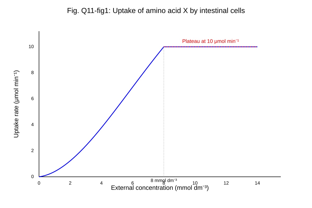Graph for 11 (ALEVEL Biology H1)