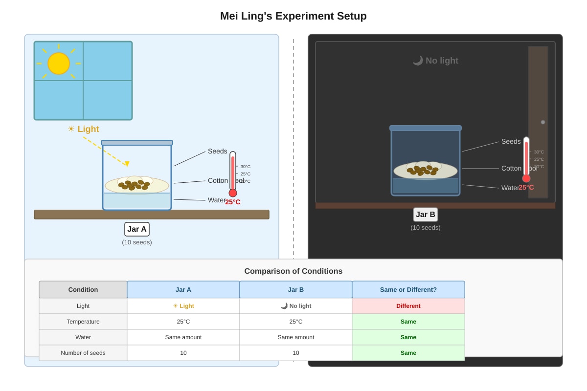 Experimental Setup for Q28 (P6 Science)