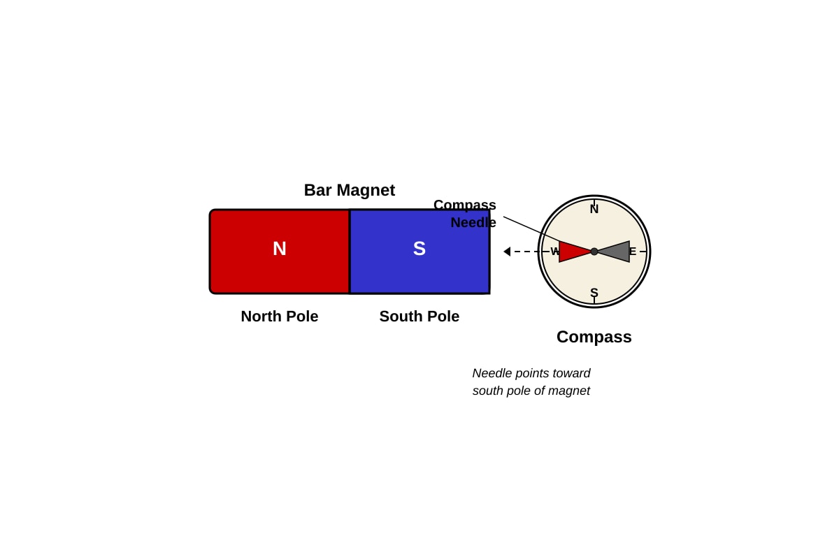 Diagram for Q10 (P4 Science)