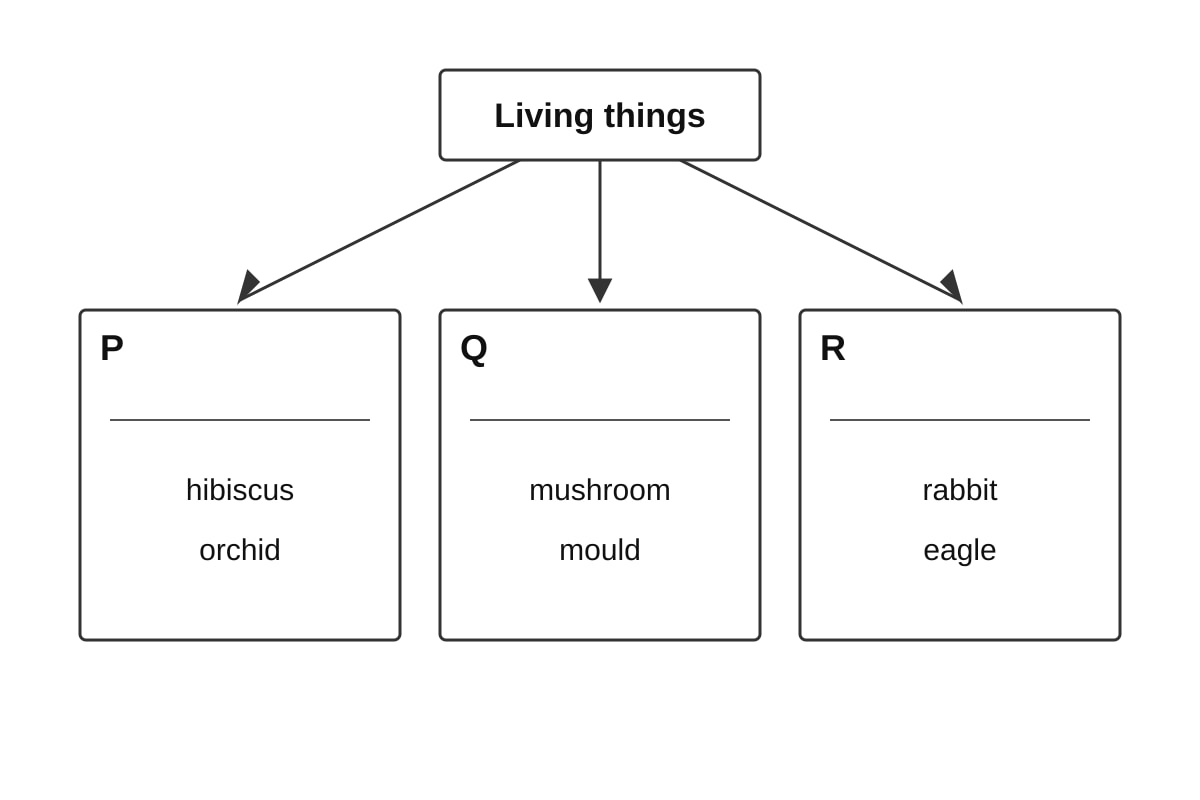 Diagram for Q15 (P3 Science)
