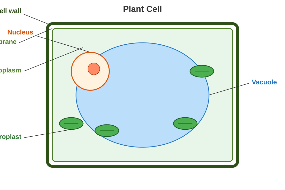 Diagram for Q5 (P5 Science)