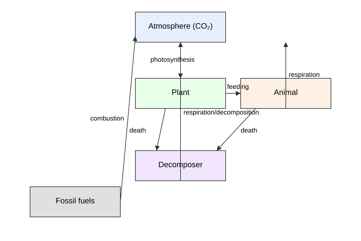 Diagram for Q14 (ALEVEL Biology H1)