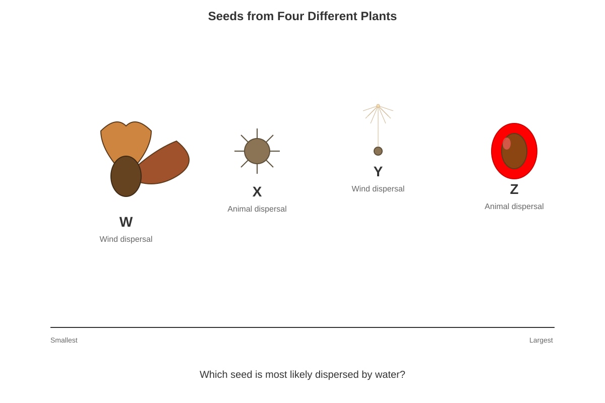 Diagram for Q9 (P6 Science)