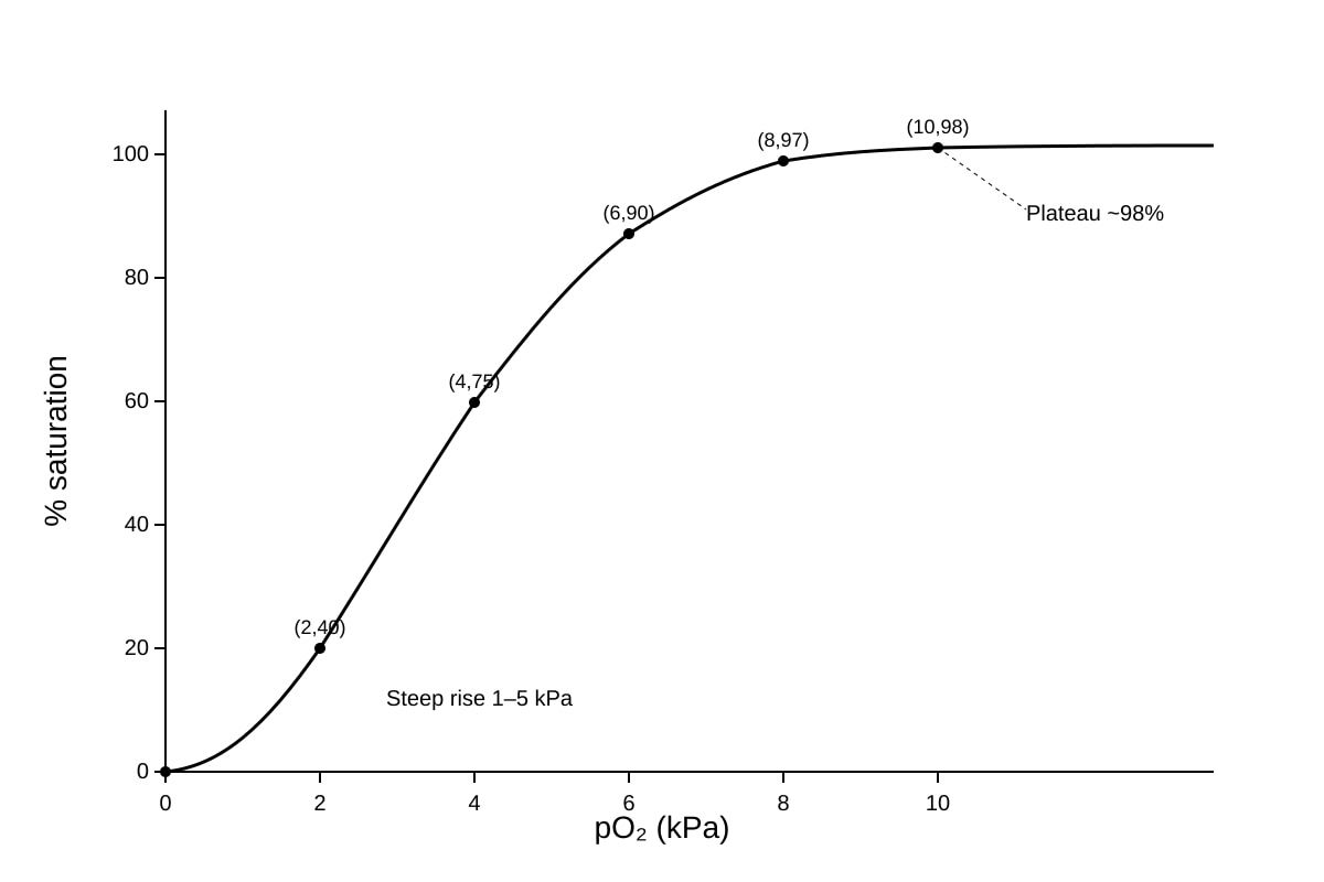 Graph for Q20 (ALEVEL Biology H1)