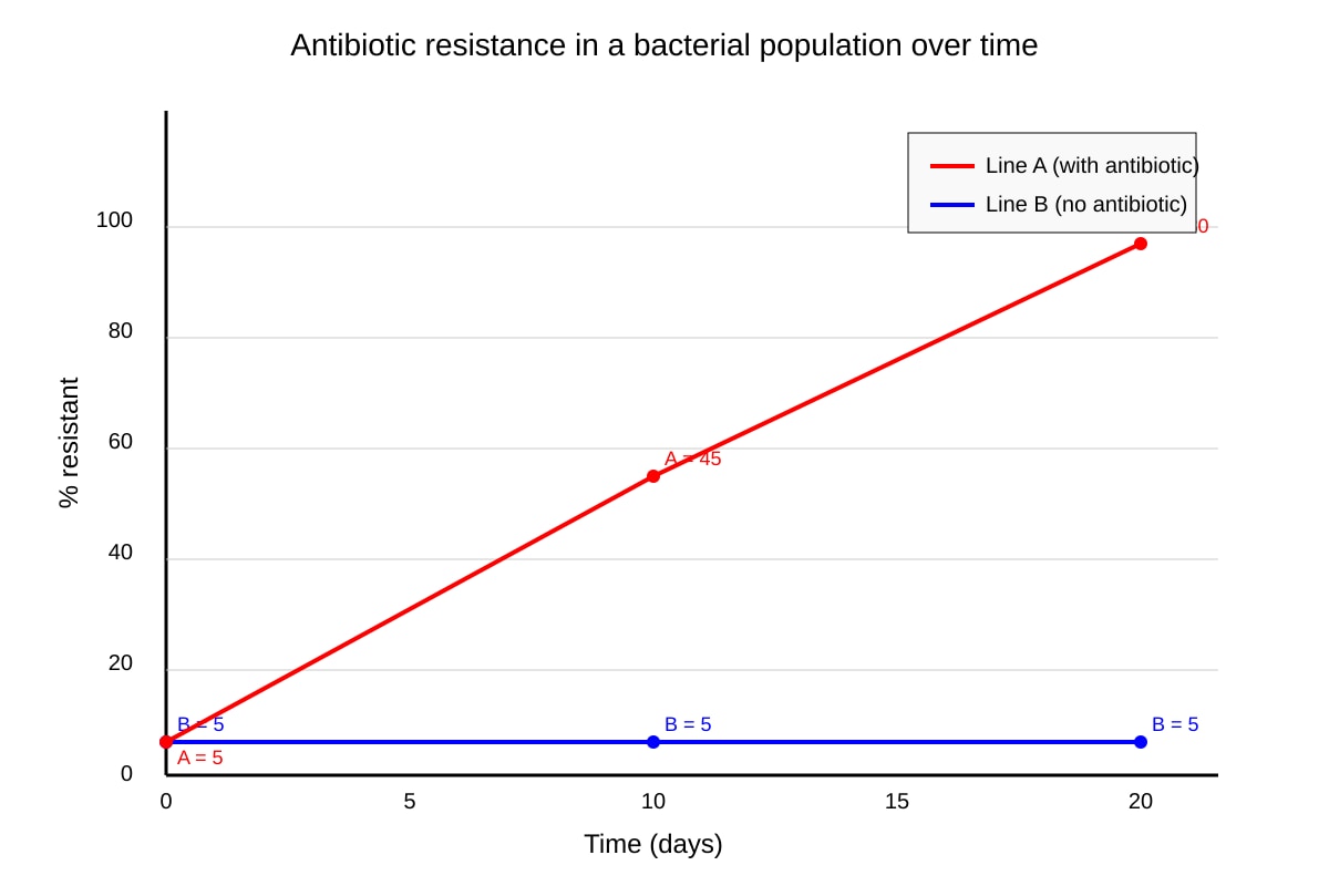 Graph for Q13 (SEC3 Biology)