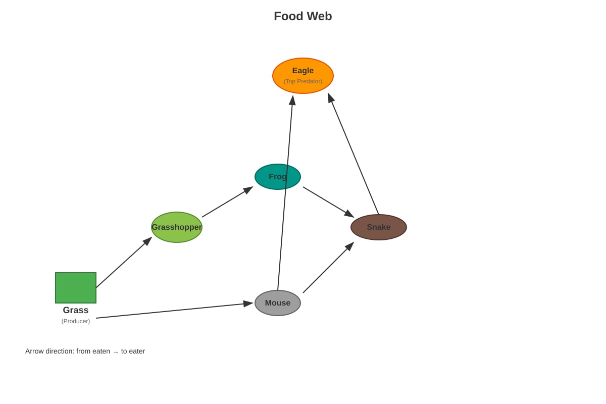 Diagram for Q3 (P6 Science)