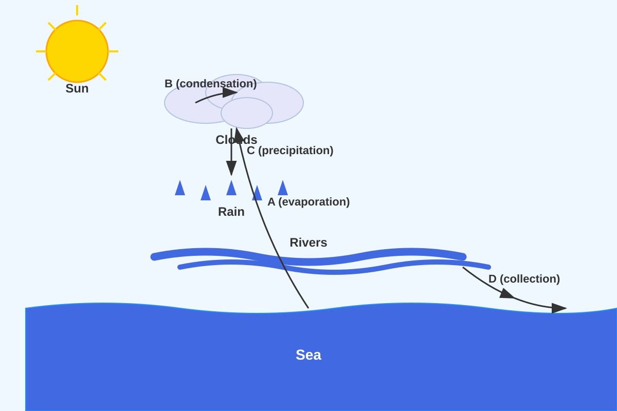 Diagram for Q12 (P4 Science)