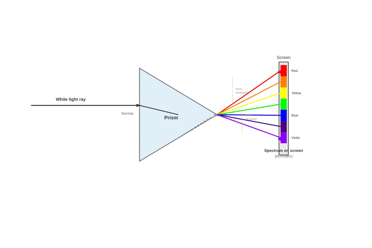 Diagram for Q19 (P5 Science)