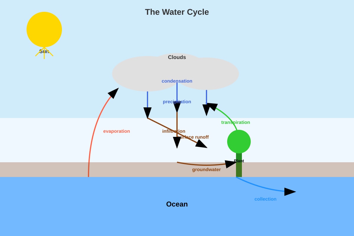 Diagram for Q32 (P5 Science)