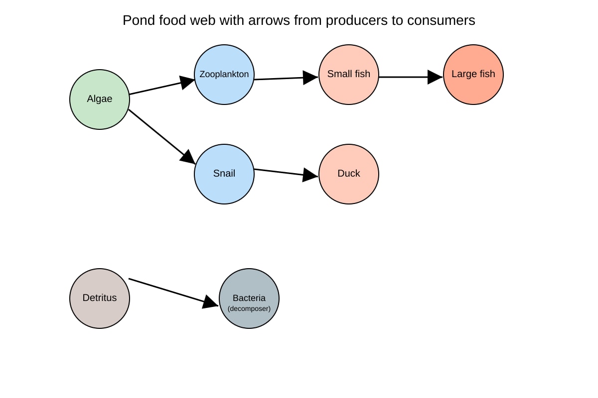 Diagram for Q12 (ALEVEL Biology H2)