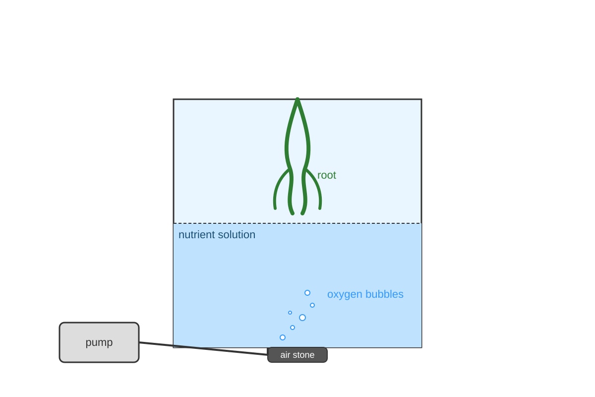 Experimental Setup for Q14 (OLEVEL Biology)