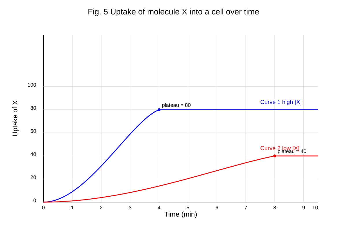 Graph for 13 (ALEVEL Biology H1)