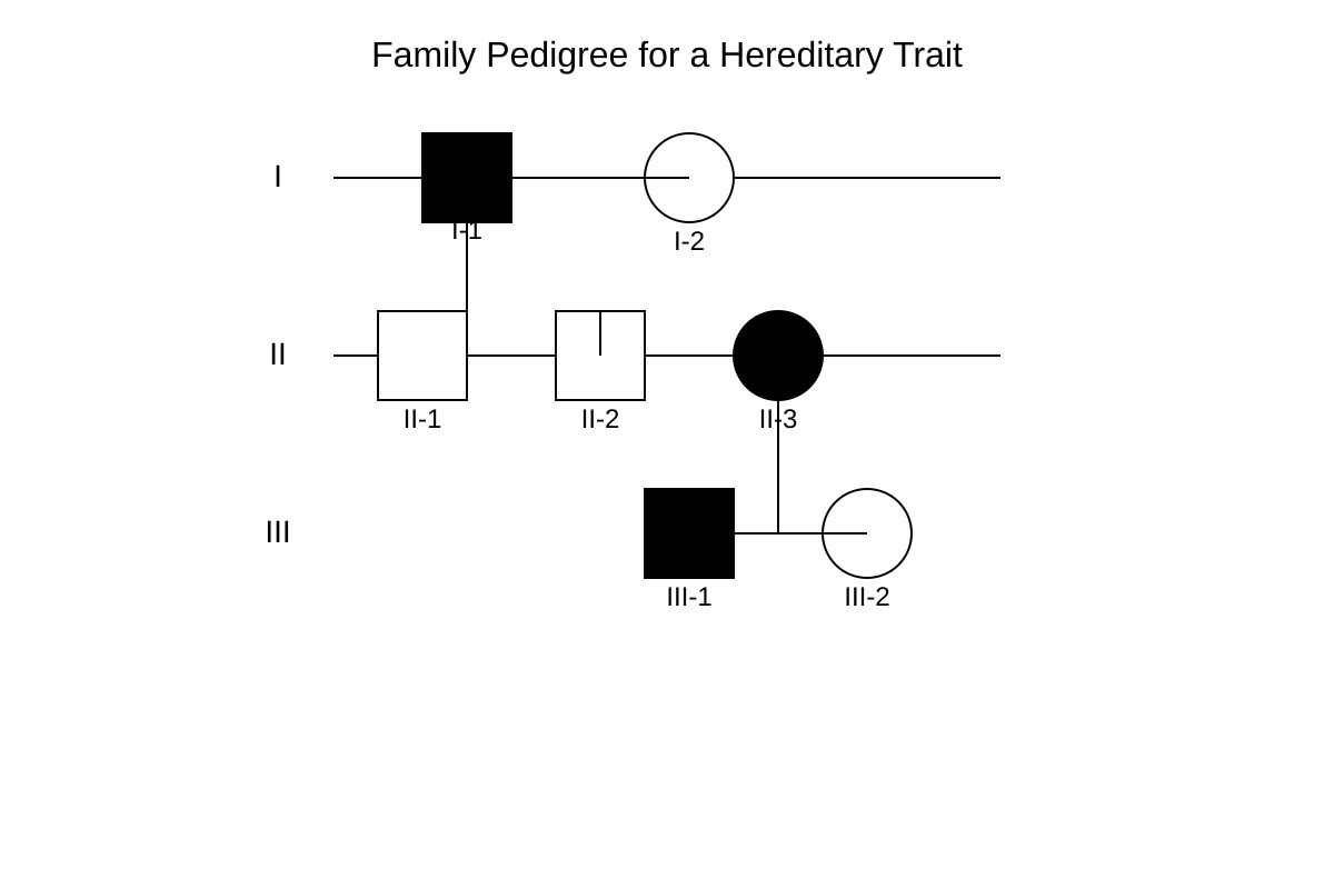 Diagram for Q20 (SEC3 Biology)