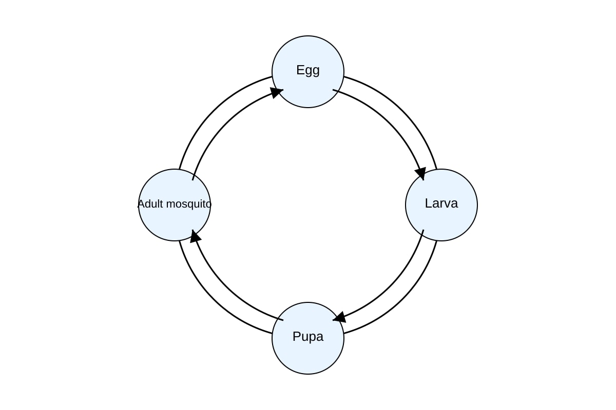 Diagram for Q16 (P3 Science)