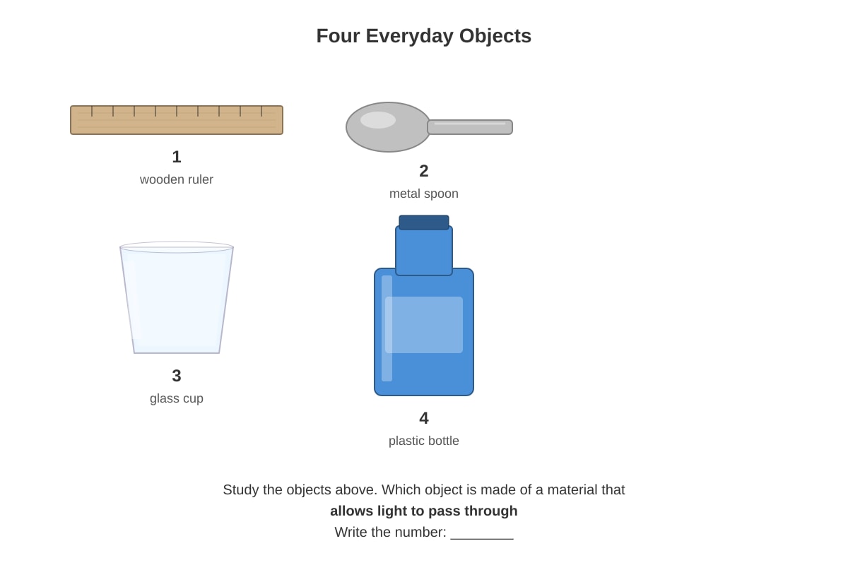 Diagram for Q18 (P3 Science)
