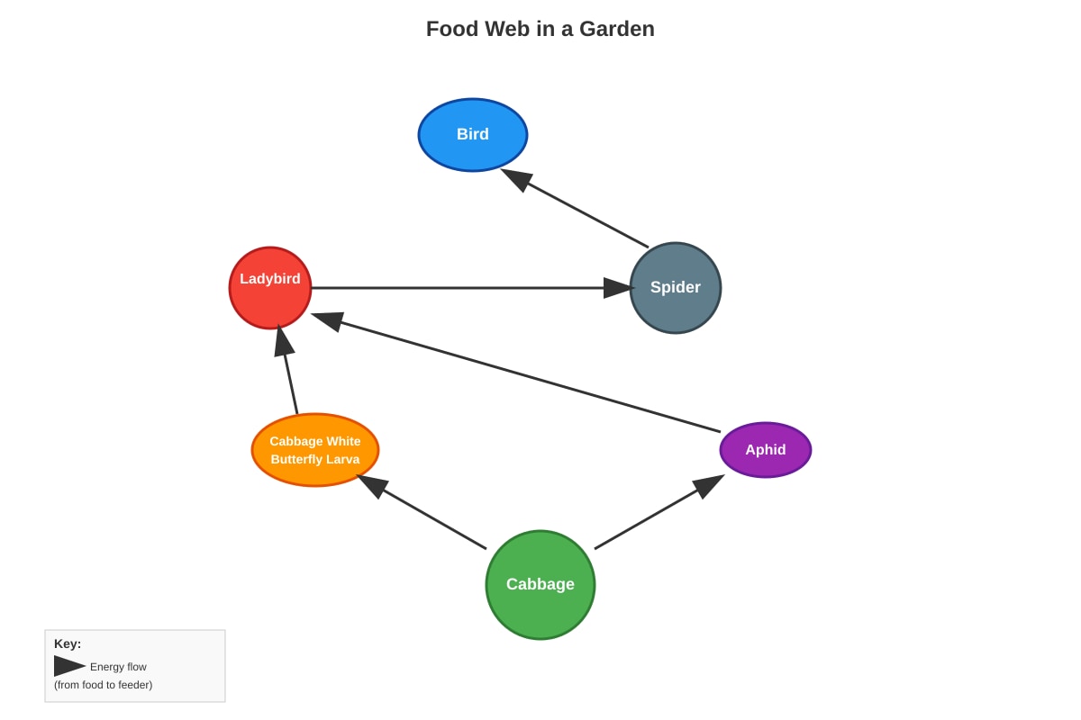 Diagram for Q20 (P6 Science)
