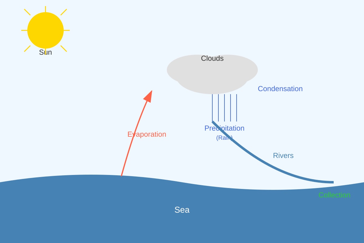 Diagram for Q16 (P5 Science)