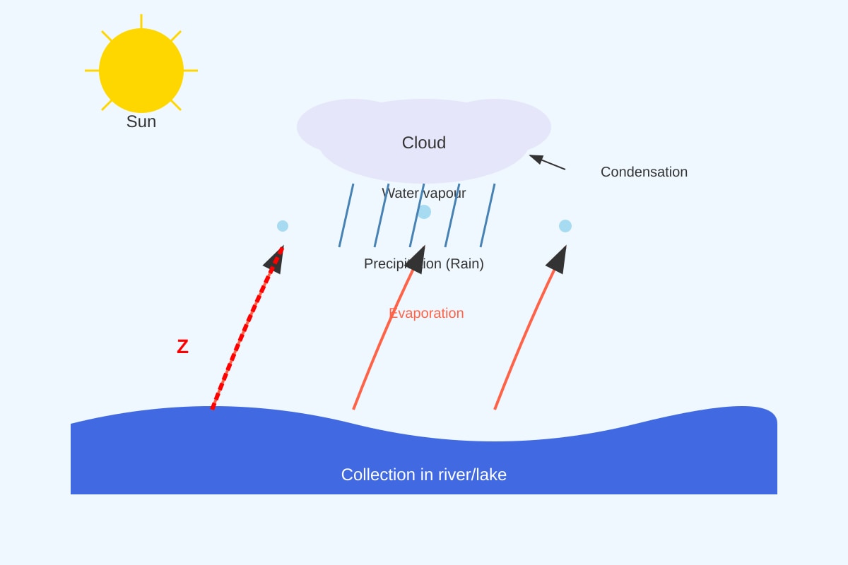 Diagram for Q8 (P3 Science)