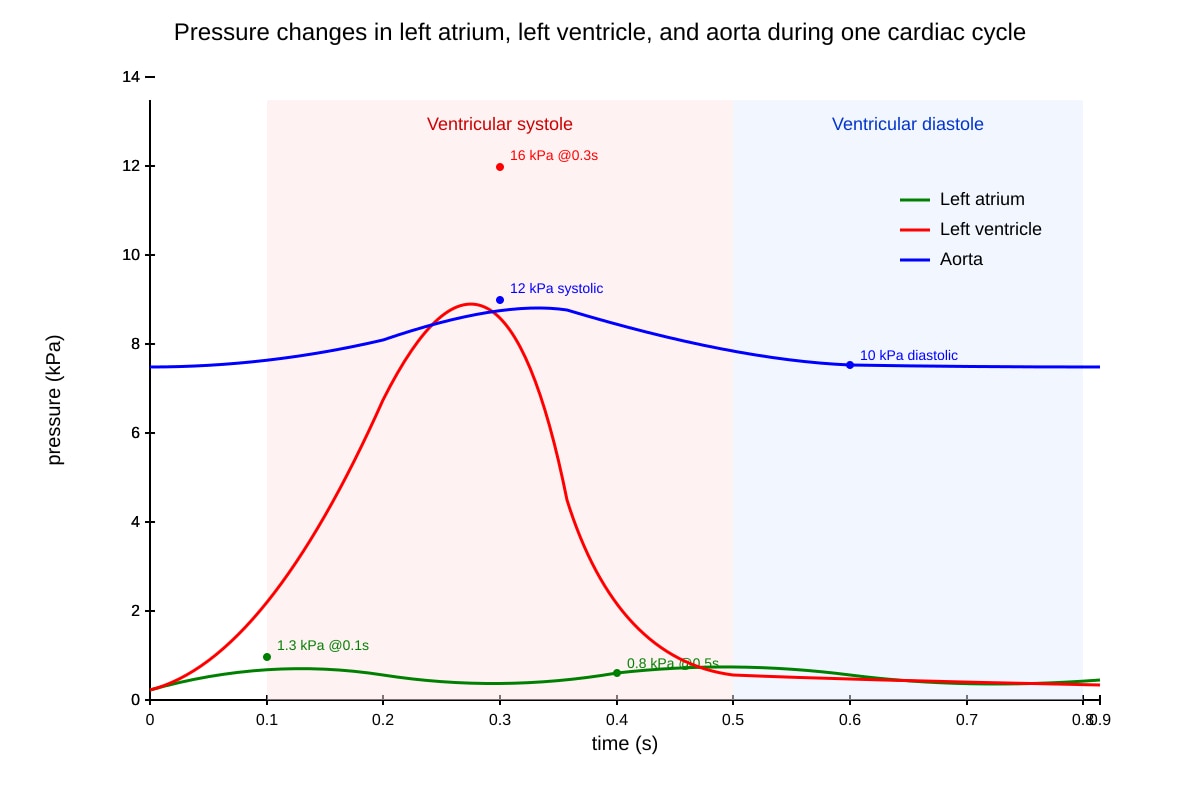Graph for Q9 (ALEVEL Biology H2)