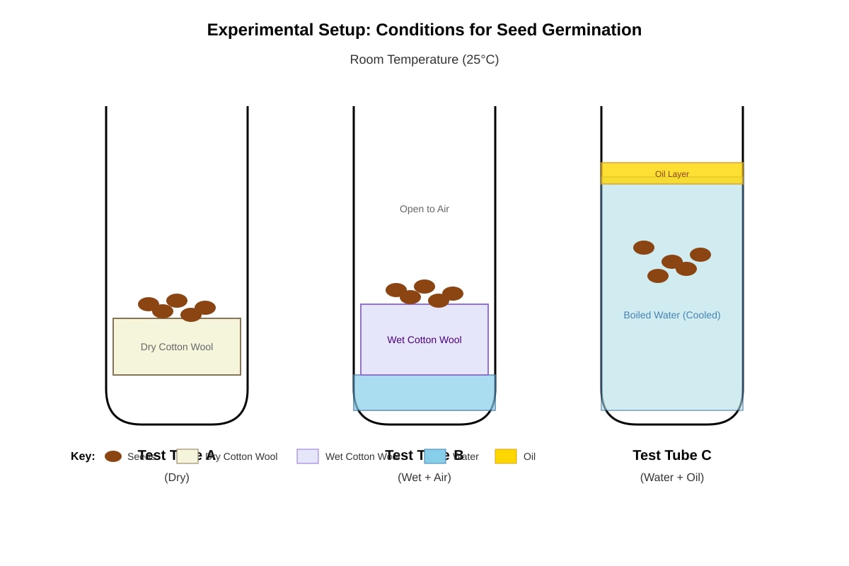 Experimental Setup for Q26 (P6 Science)