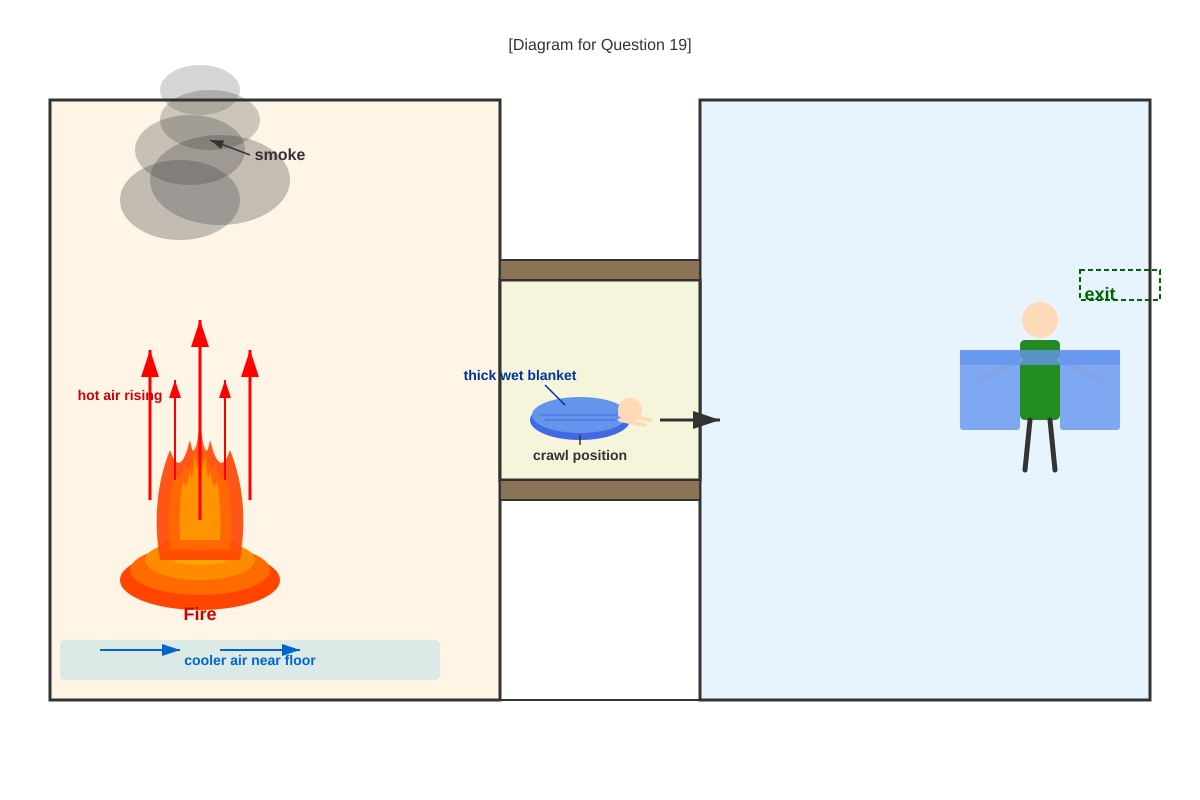 Diagram for Q19 (P5 Science)