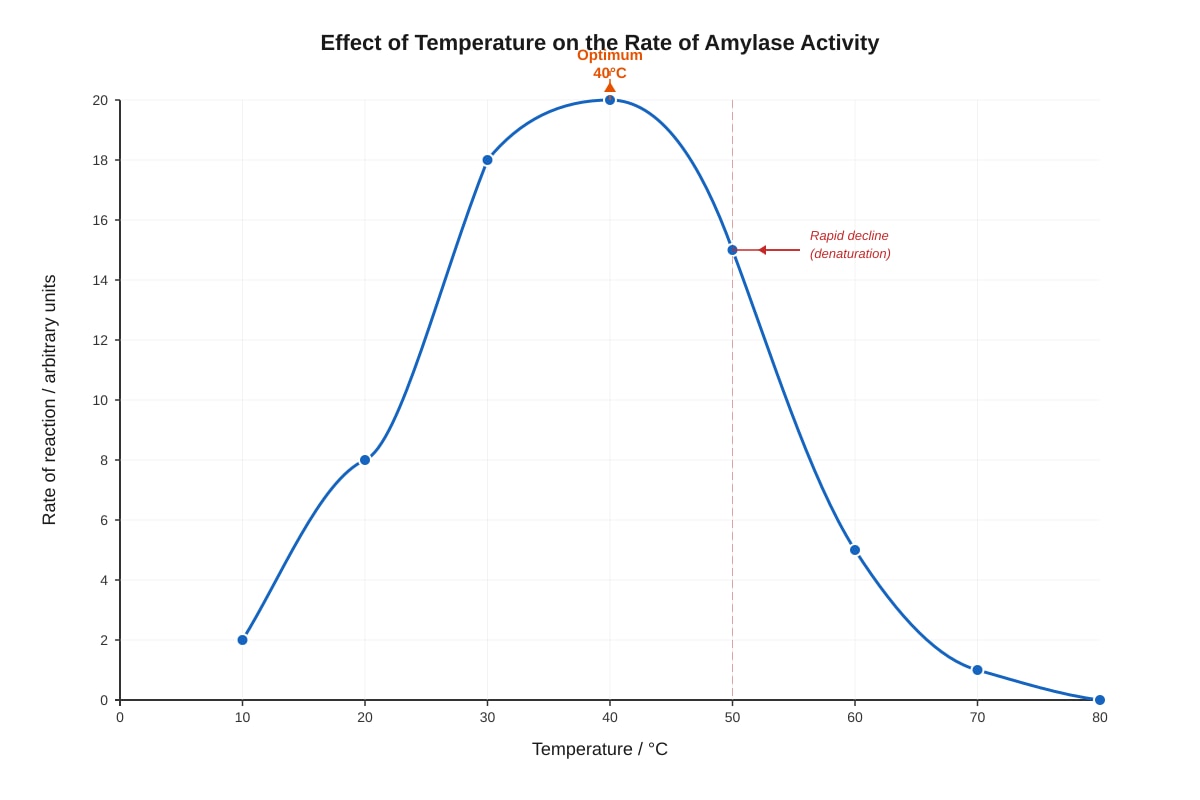 Graph for Q3 (SEC3 Biology)