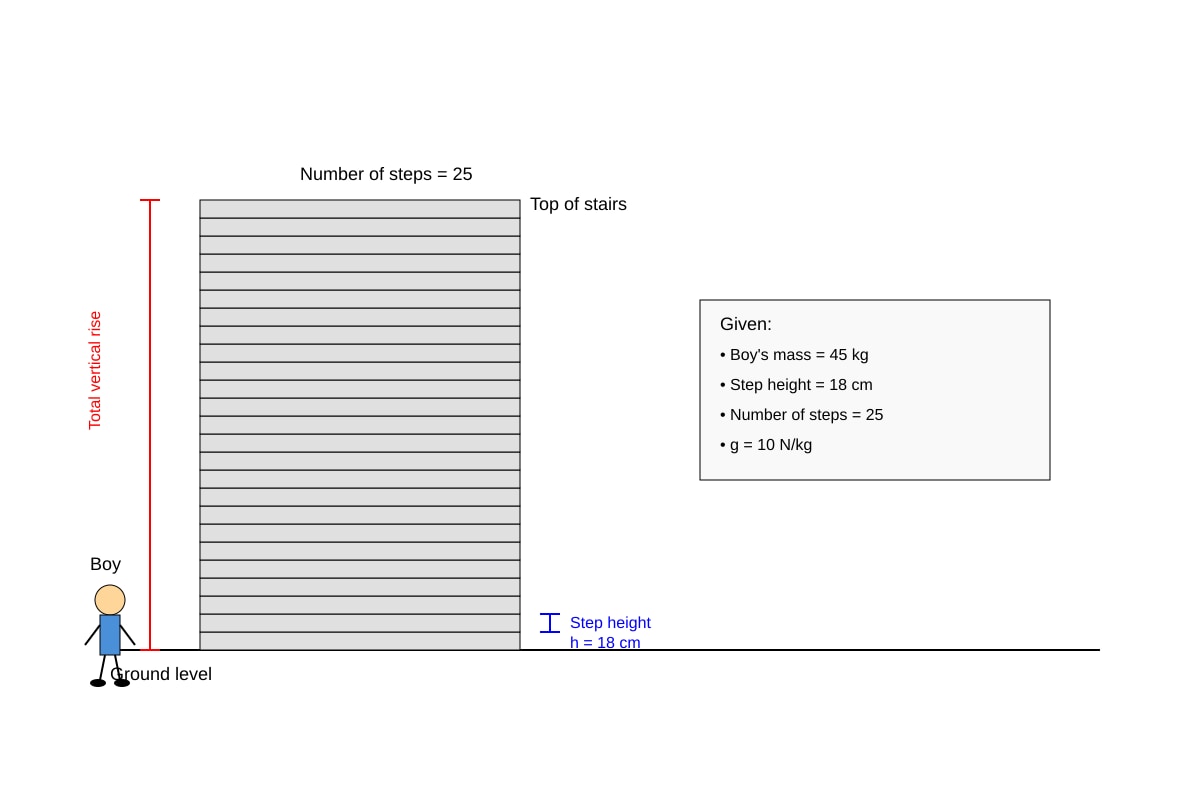 Diagram for 12 (SEC1 Science)
