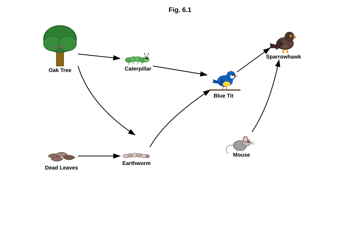Diagram for placeholder 1 (SEC4 Pure Biology)