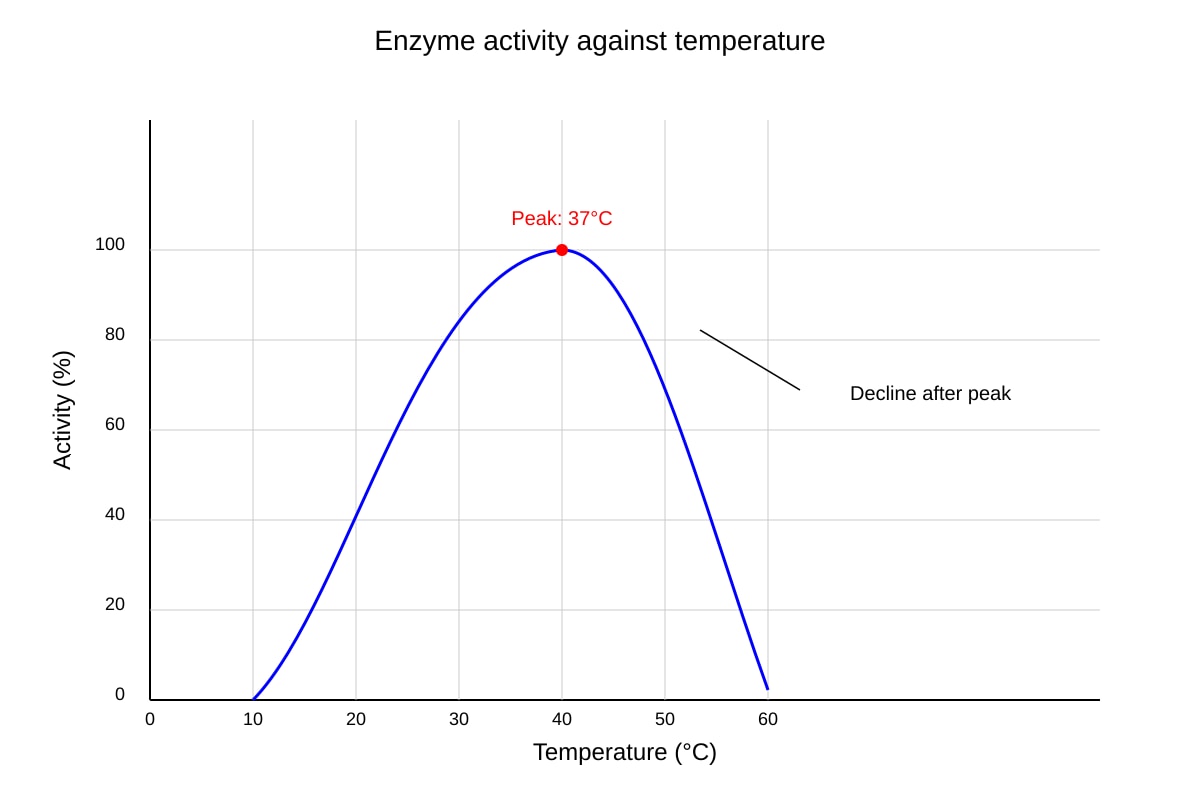 Graph for Q17 (OLEVEL Biology)