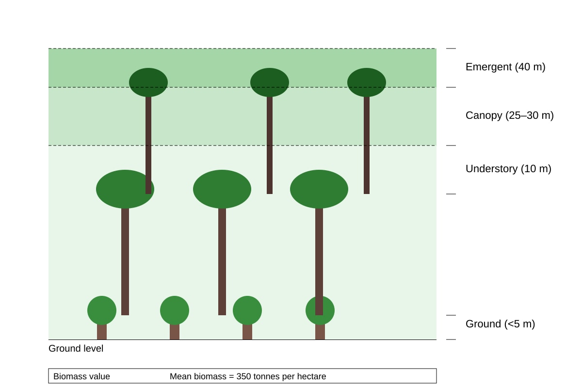 Diagram for Q8 (ALEVEL Geography H2)