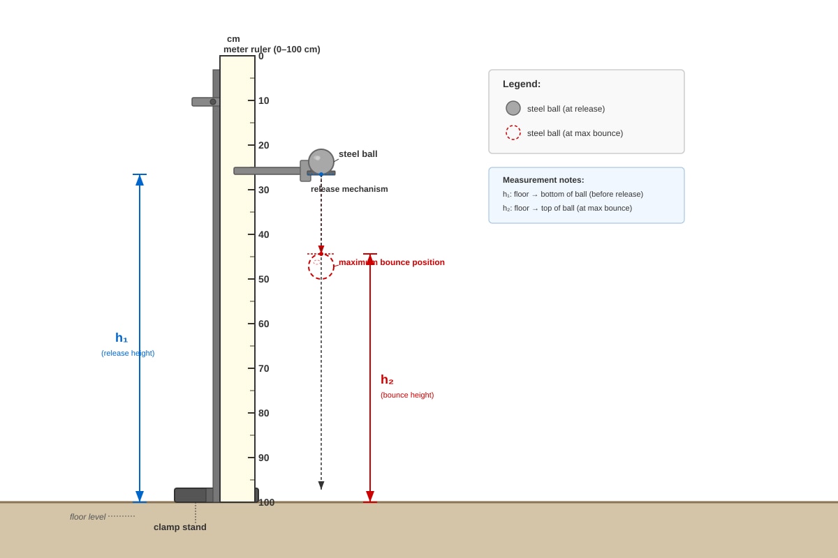 Experimental Setup for Q19 (SEC3 Physics)