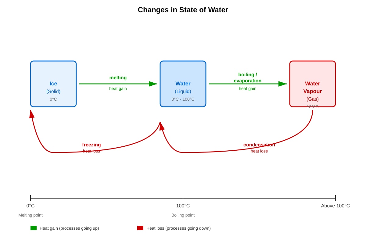 Diagram for Q24 (P5 Science)