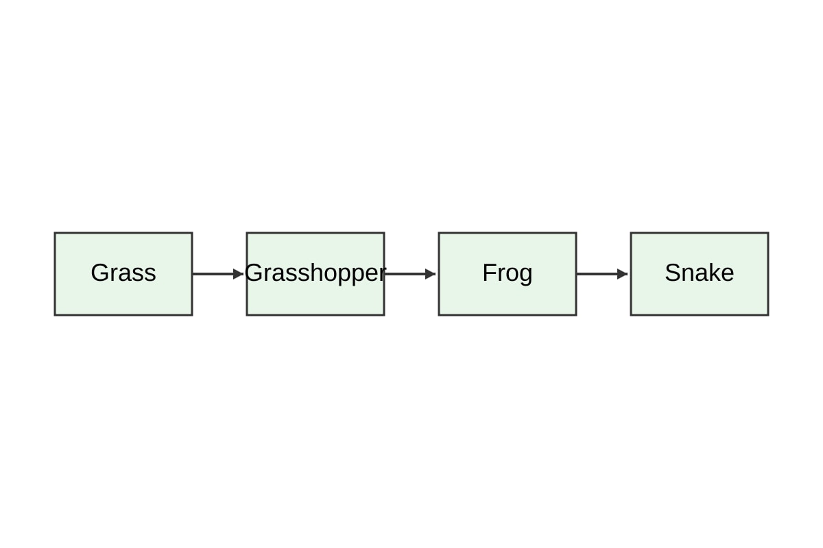 Diagram for Q11 (SEC3 Biology)