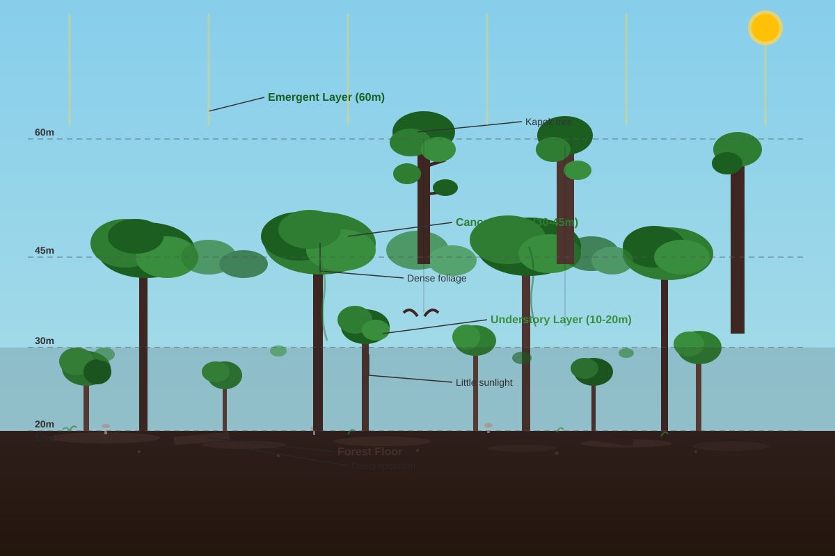 Diagram for Q12 (SEC2 Geography)