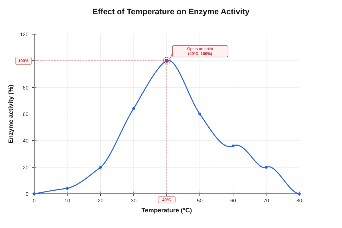 Graph for Q19 (SEC3 Combined Science)