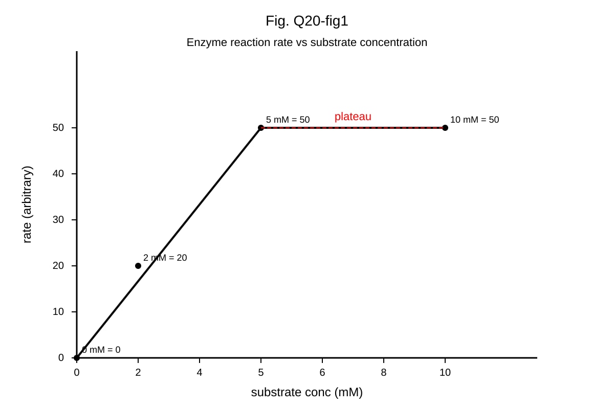 Graph for 20 (ALEVEL Biology H1)