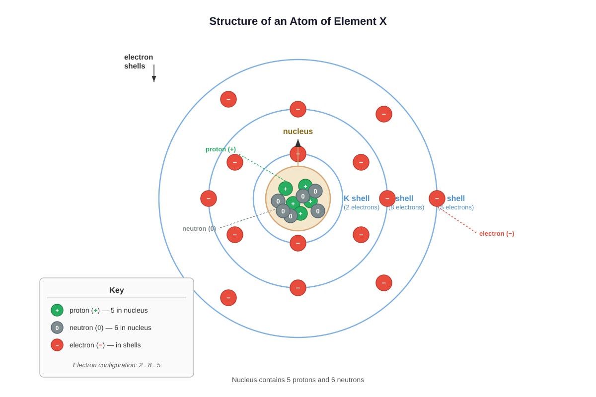 Diagram for Q13 (SEC1 Science)