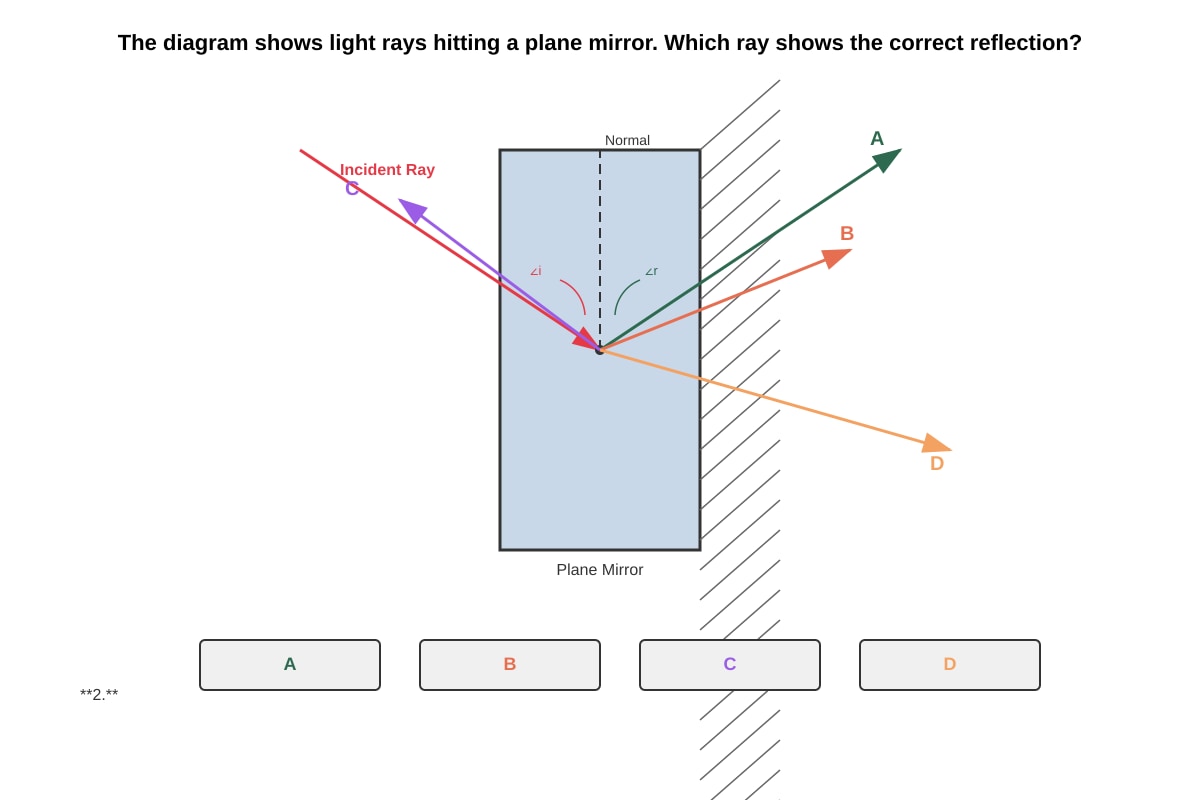 Diagram for placeholder 1 (SEC1 Science)